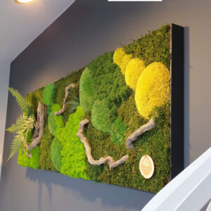 obraz z mchu w ramie