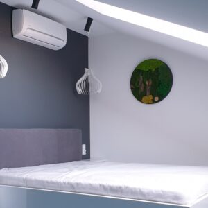 okrągły obraz mech chrobotek