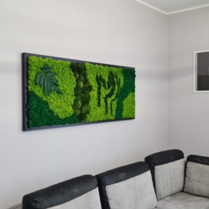 Obraz z chrobotkiem w czarnej ramie