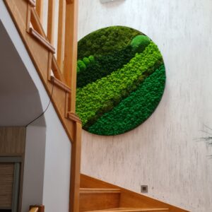 chrobotek w stalowej okrągłej ramie