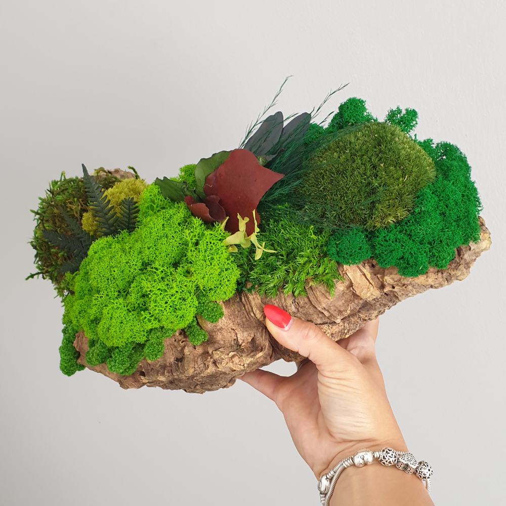 naturalna donica z mchem