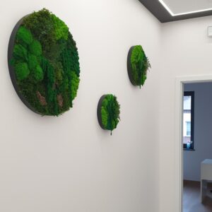 kompozycja z mchów w stalowej ramie loft